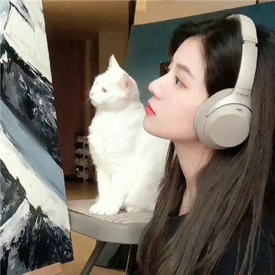 金牌客服董董恩