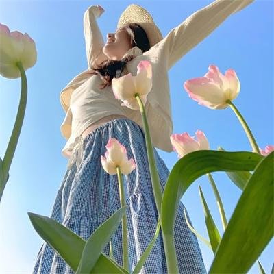 凤楼传之灵狐传说